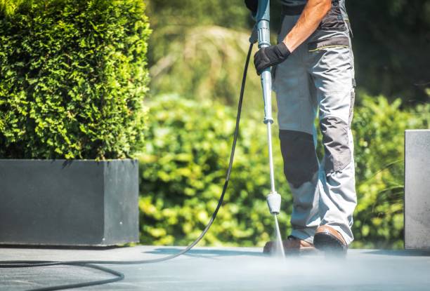 Best Sidewalk and Walkway Cleaning  in Choccolocco, AL