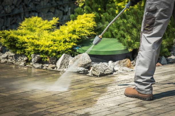 Best Driveway Pressure Washing  in Choccolocco, AL